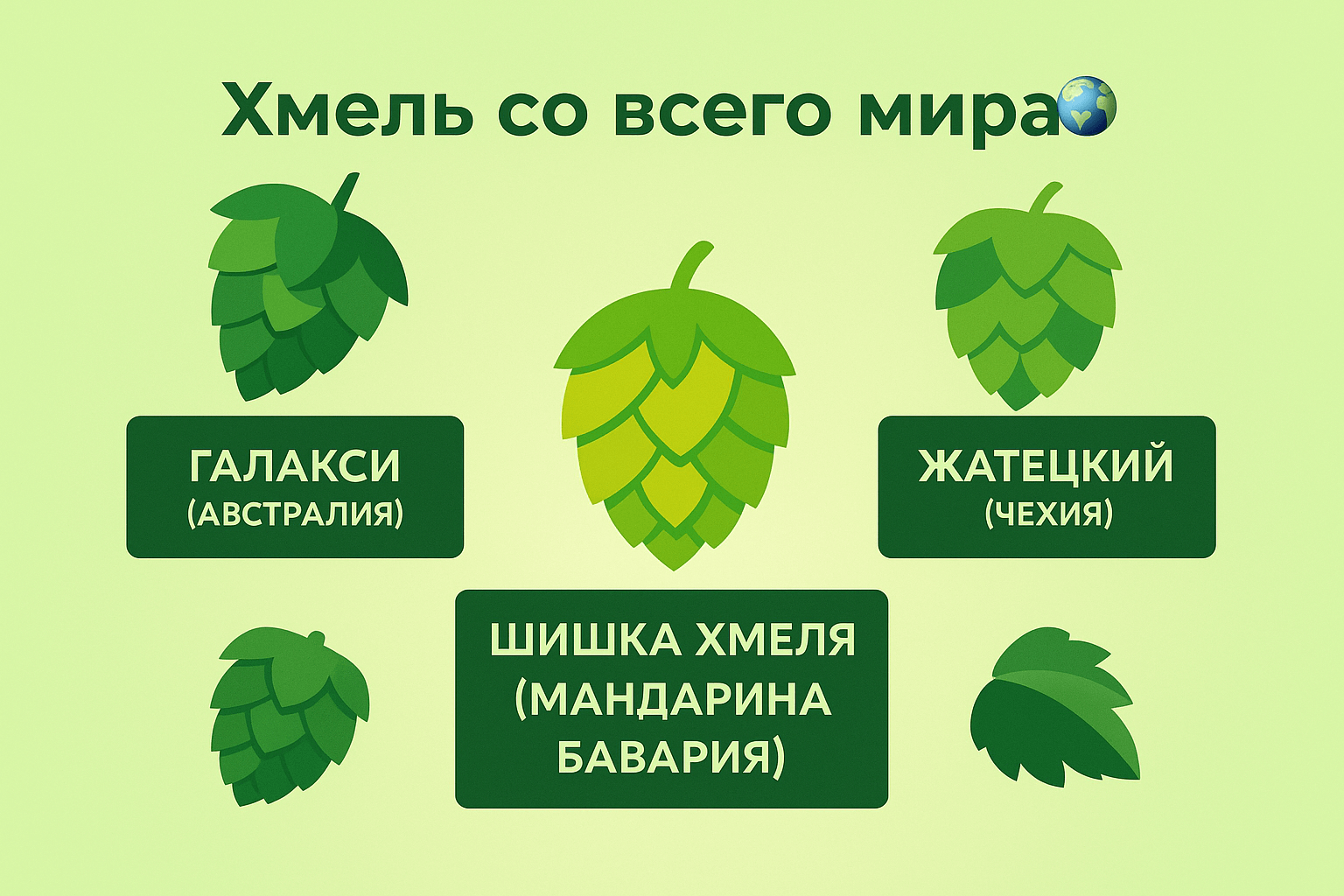 Сорта хмеля в наличии, фото 2