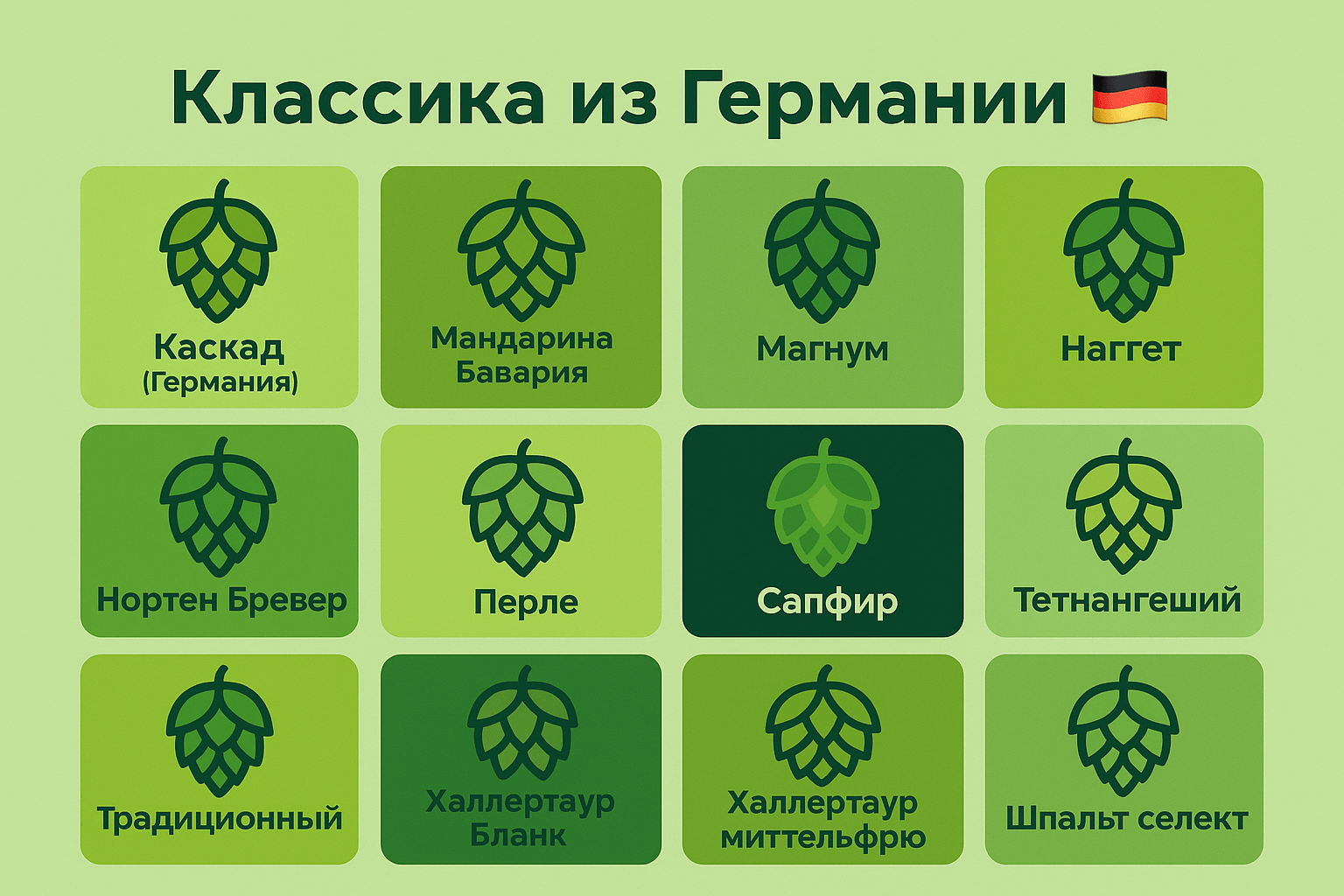 Сорта хмеля в наличии, фото 1