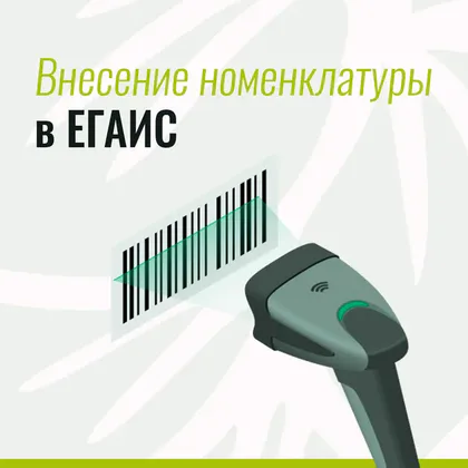 Внесение номенклатуры в ЕГАИС: упрощение работы пивоваров
