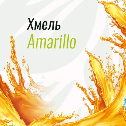 Хмель Амарилло: Американская классика для крафтового пива