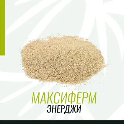 Максиферм Энерджи: ускорение процесса сбраживания