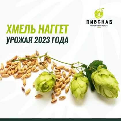 Свежий хмель Наггет (Nugget) — универсальный ингредиент для пивоваров