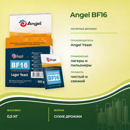 Дрожжи Angel BF16 для лагерного пива