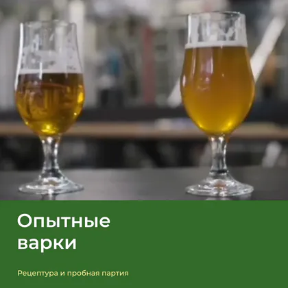 Два образца пива — опытные варки