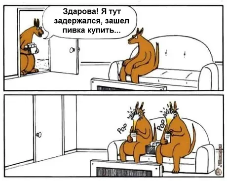 Мем про пиво и кенгуру