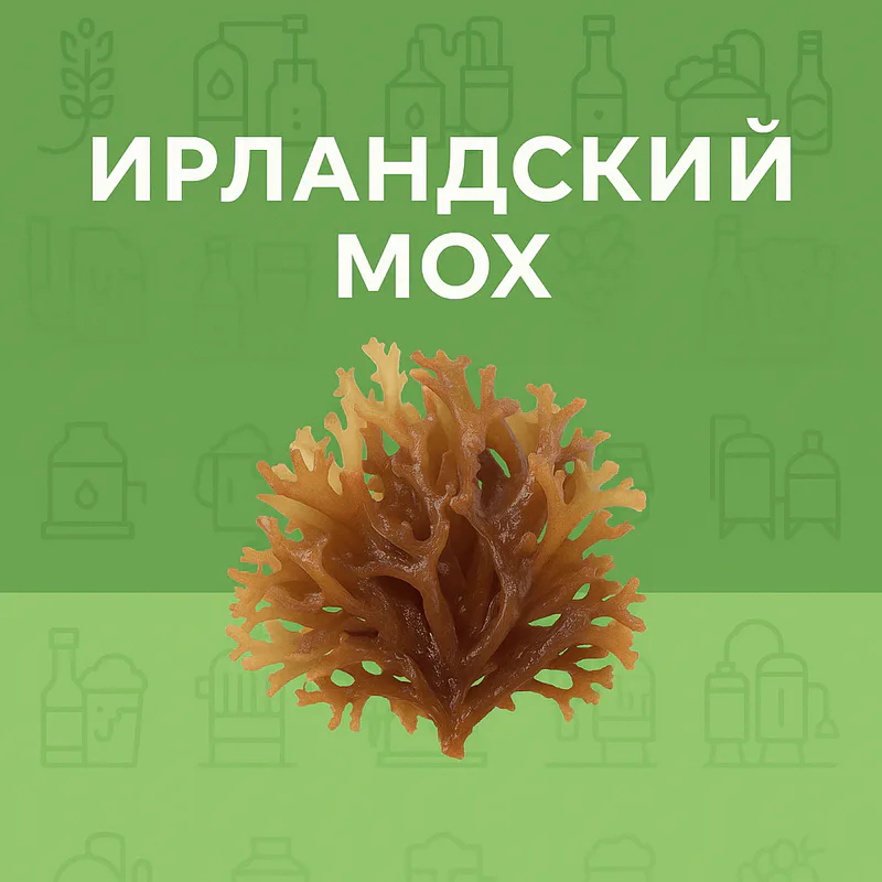 Как использовать ирландский мох для пива и современные способы осветления сусла