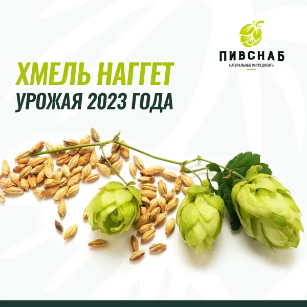 Свежий хмель Наггет (Nugget) — универсальный ингредиент для пивоваров
