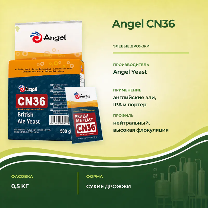 Дрожжи Angel CN36 для английских элей