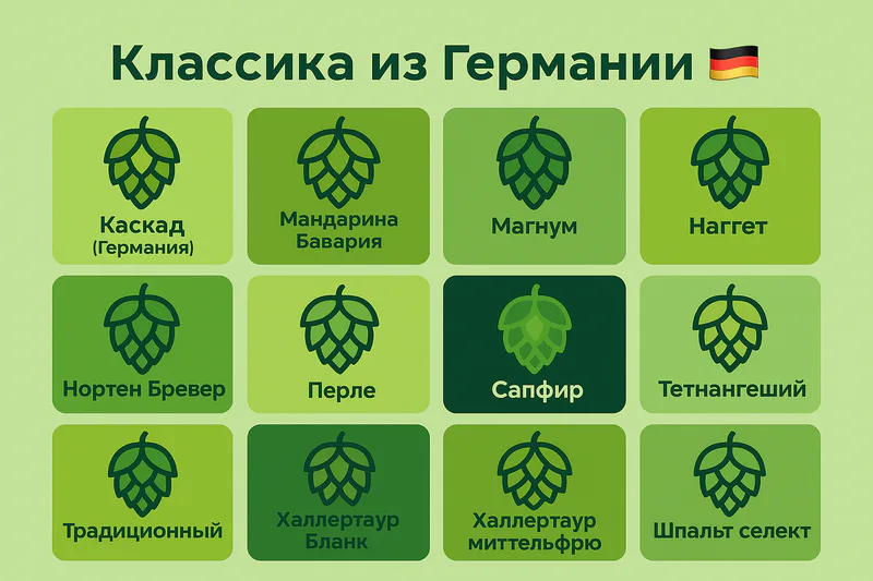 Сорта хмеля в наличии, фото 1